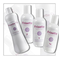 Frisette : FORMULARI DE PROCESSAMENT - DEMERAL