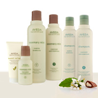 ROSMARIN MINT & Shampure - AVEDA